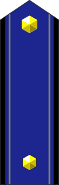 肩章 准将 / Shoulder mark of Commodore