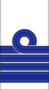 袖章 大佐 / Sleeve emblem of Captain