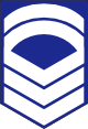 袖章 上級曹長 / Sleeve emblem of Senior Chief Petty Officer