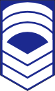 袖章 先任曹長 / Sleeve emblem of Master Chief Petty Officer