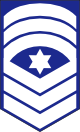 袖章 先任曹長 / Sleeve emblem of Master Chief Petty Officer